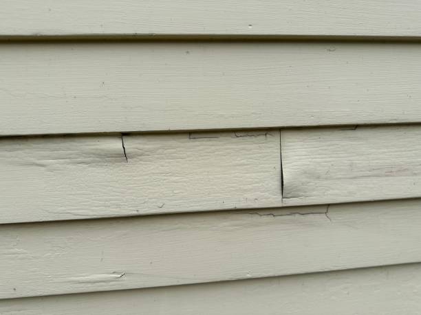 Best Residential Vinyl Siding Installation  in Rancho Tehama Reserve, CA